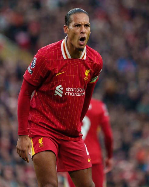 仿劳塔罗的 仿劳塔罗的